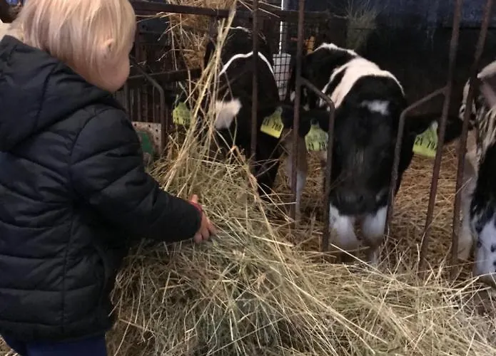 Apartment Sander Ober-Abtsteinach