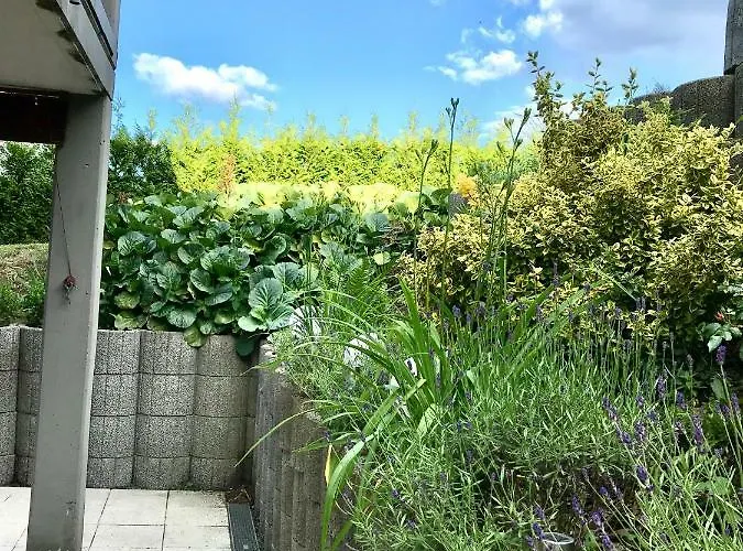 Apartment Sander Ober-Abtsteinach